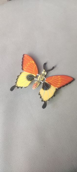 Бабочка на магните