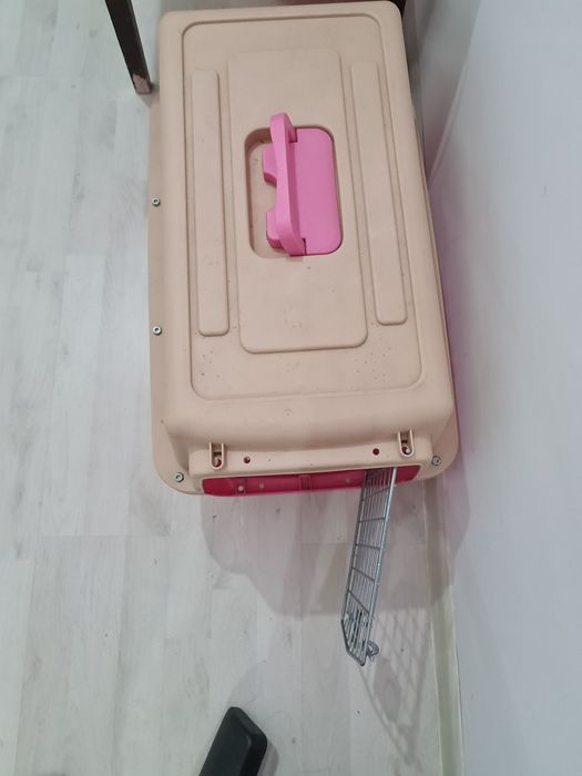 Tureskiy angora. 1 yosh