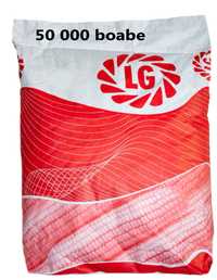 Seminte Porumb LG 34.90, sac 50 000