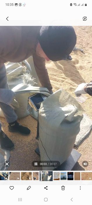 Зерно фасованая по 40 кг