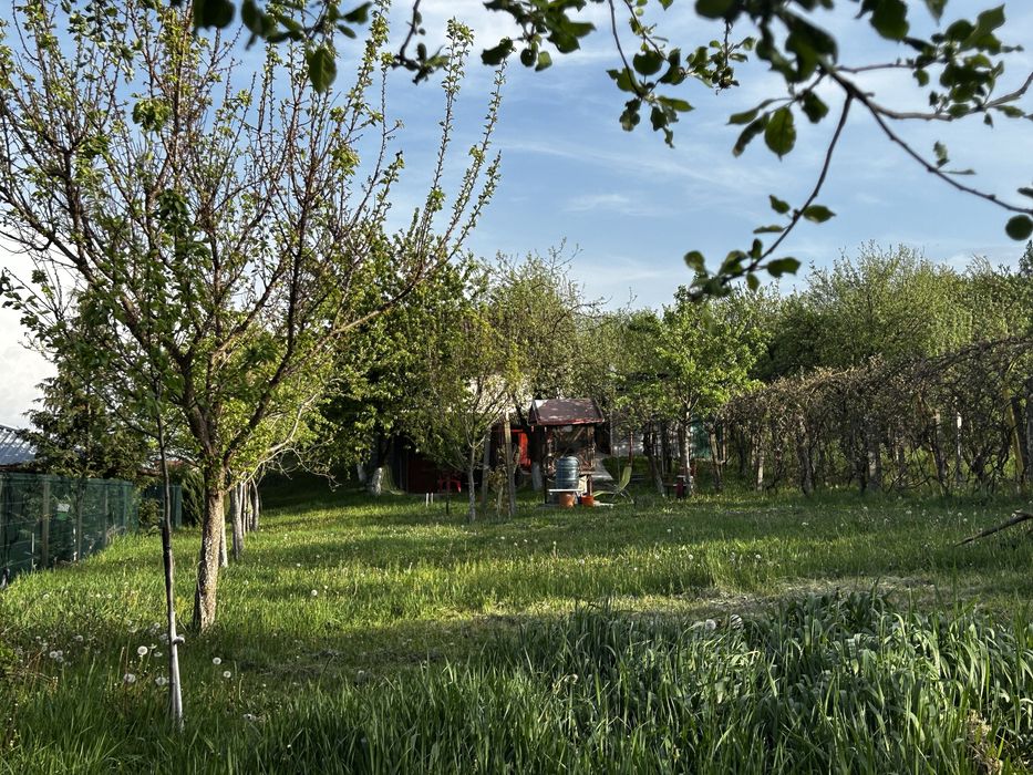 Teren de vanzare cu cabana