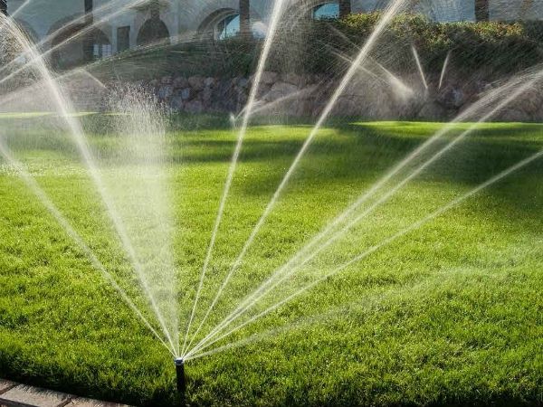 Газон. Полив газон. Автополив.