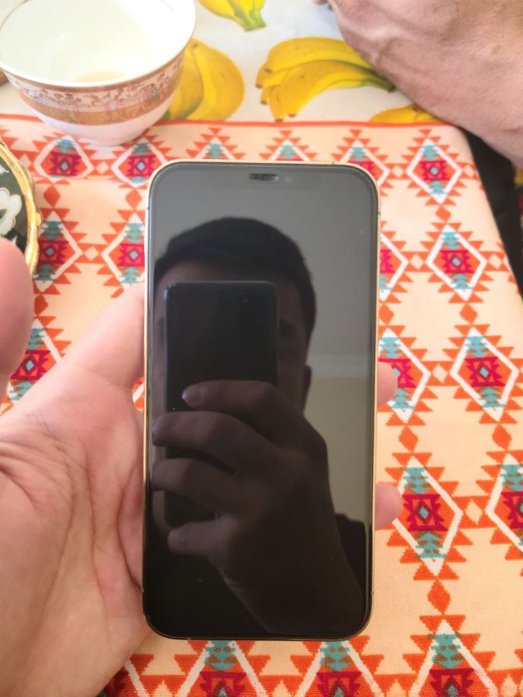 Iphone 12 pro LL/A