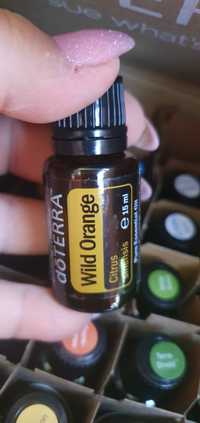 Wild orange doTerra