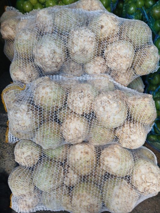 Vând țelină rădăcină sau cu frunze,cantități mari‼️‼️‼️i