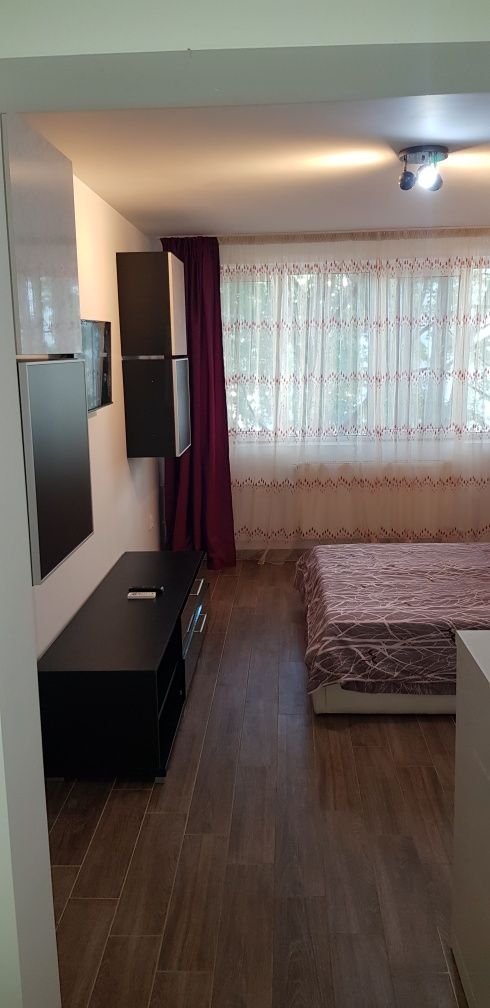 Apartament 1 camera Tiglina 1