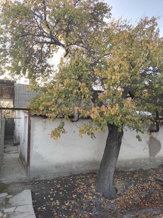 Дом продажа 5-комн. Бектемир 139679