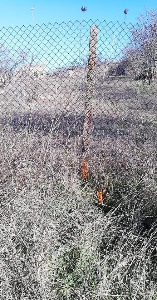 Продава се Парцел в с. Изворище, Област Бургас - 3232 кв.м за 3 €/кв.м - Снимка #8