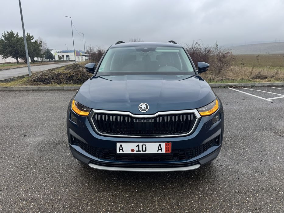 Skoda Kodiaq/Matrix/Virtual/Webasto/Camera/Ambientale