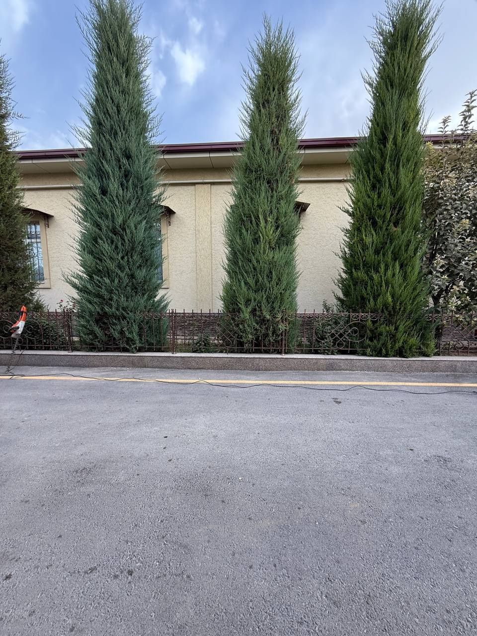 Landshaft xizmatlari archa kesish