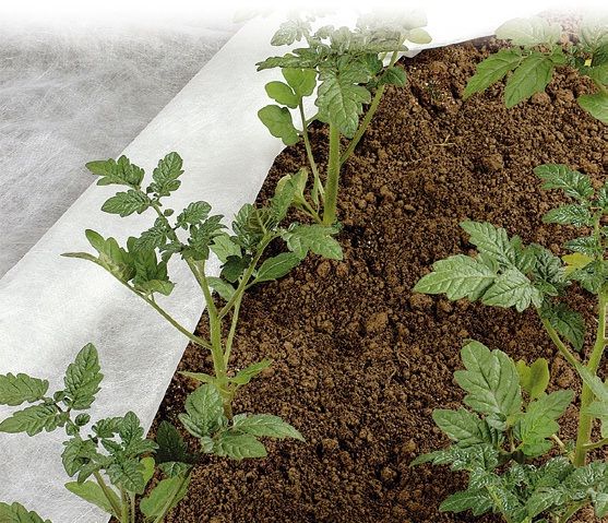 Folie MICROPOROASA AGRYL/ANTI-INGHET 19gr; 9.5x100m=710 lei;12.65x100m