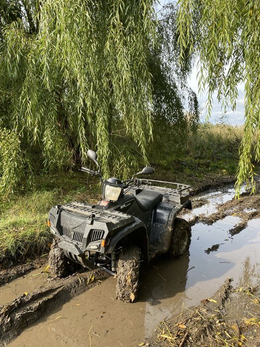 De vanzare Atv Bashan 250