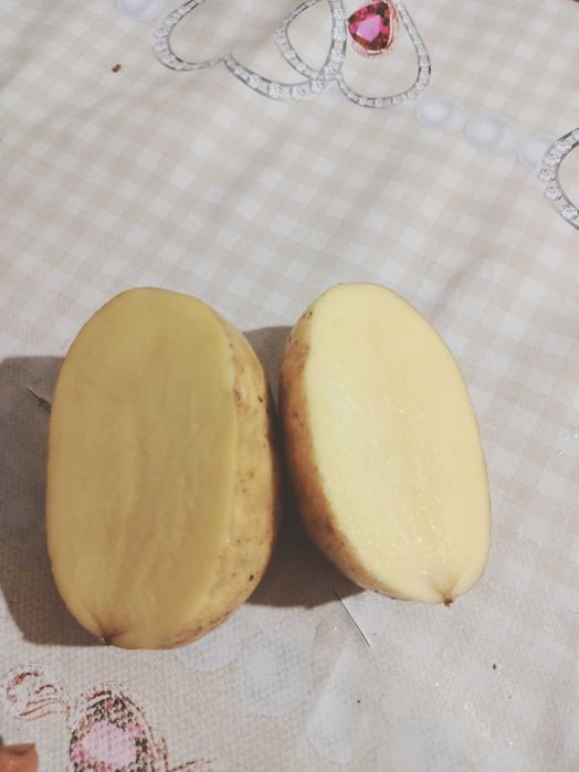 Домашний картофель