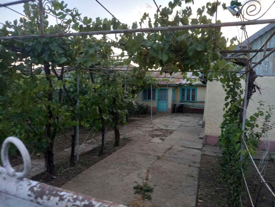 Casa batraneasca de vanzare Tudor Vladimirescu