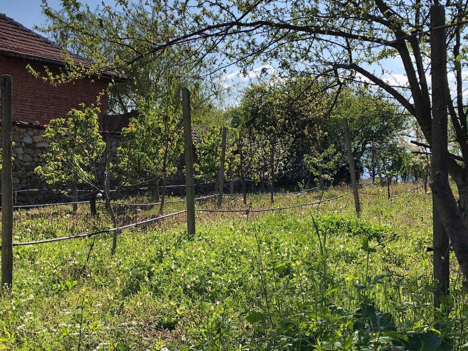 ИМОТ 4 дка, село Анево, до регулация