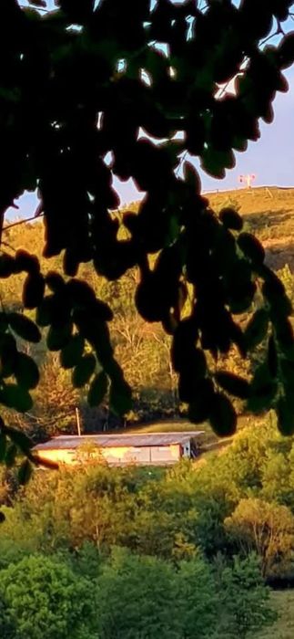 Teren de vanzare in Abrud jud Alba