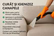 Curăț și igienizez canapele- rezultate profesionale