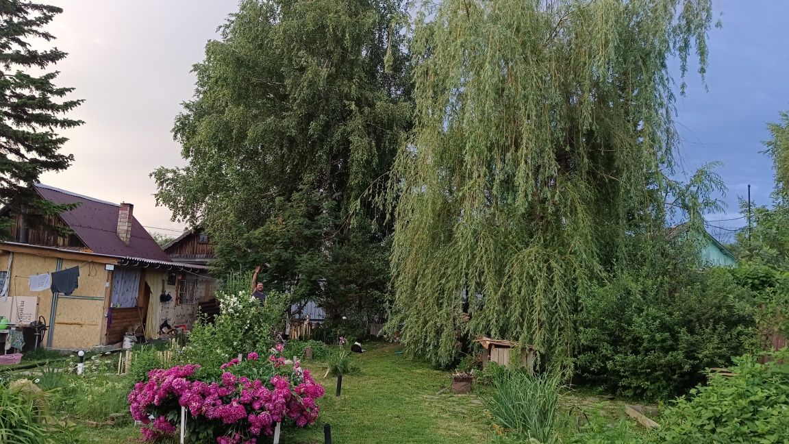Продам зимнюю дачу в городе