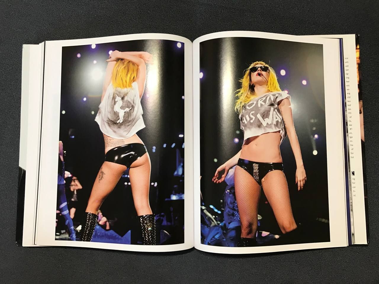 Lady Gaga & Terry Richardson photobook 2011 USA