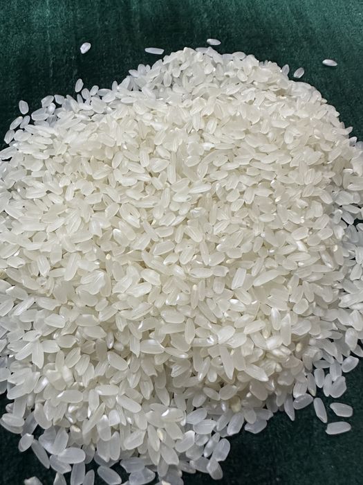 Oliy navli alanga guruchi