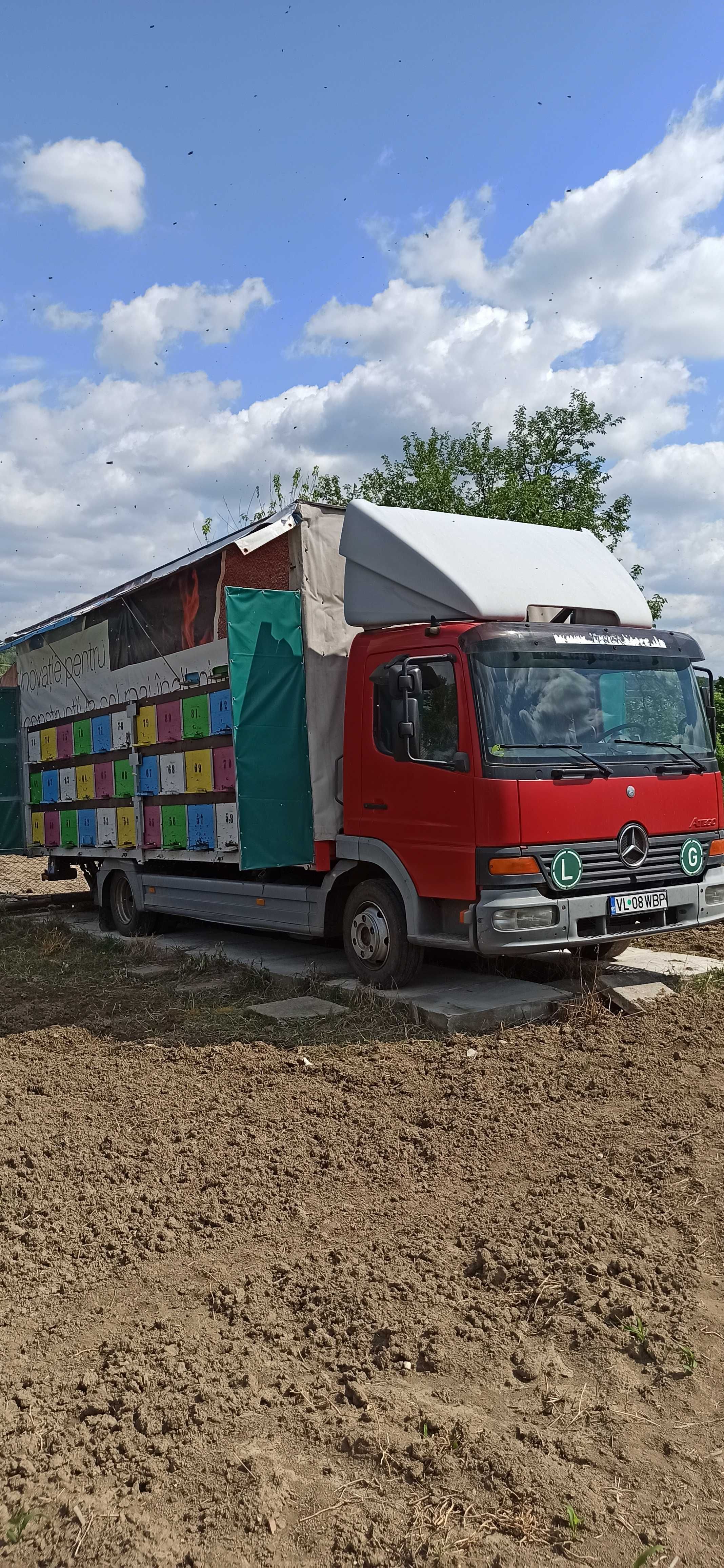Vând camion apicol Mercedes atego de 7,5 tone