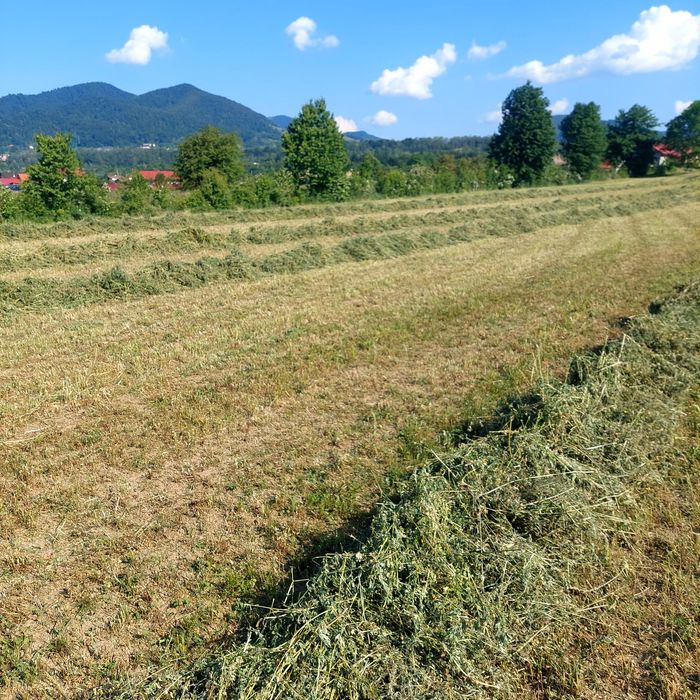 Baloti fân și lucerna