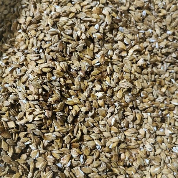 Продам ячмень дробленный, в мешках,отличное качество.