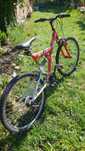 Doua biciclete Axxios!
