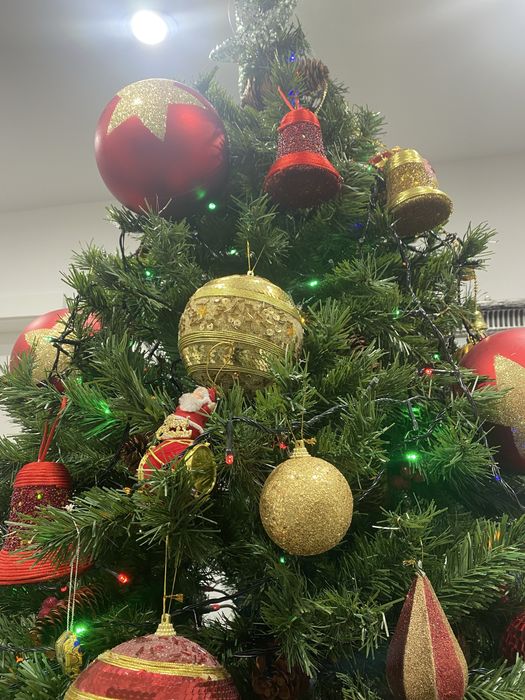 Brad cu conuri si fructe rosii 2,3 m