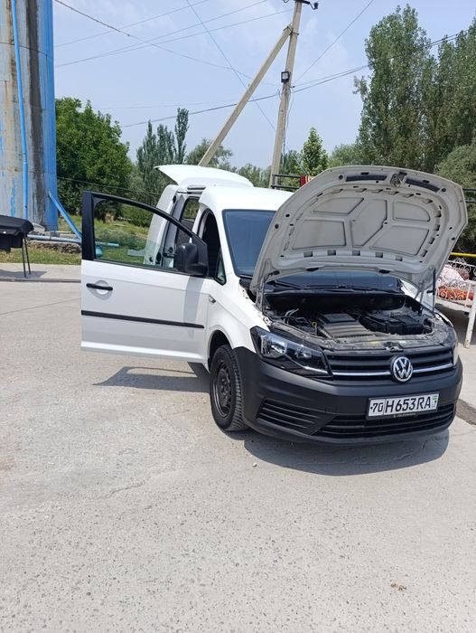 2020 йил холати ало краска тозза