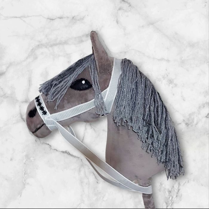 Hobby horse, cal cu baț