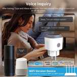 Priza inteligenta Tuya WiFi Elivco 20A
