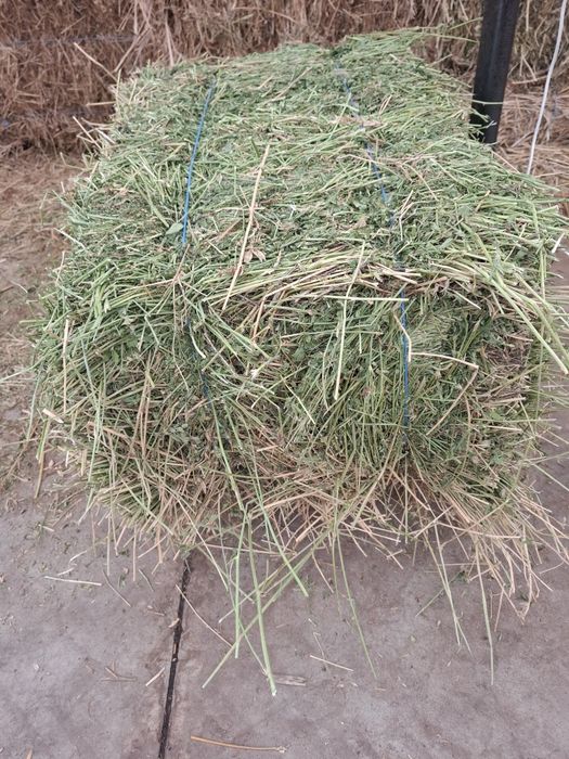 Vand baloti de lucerna