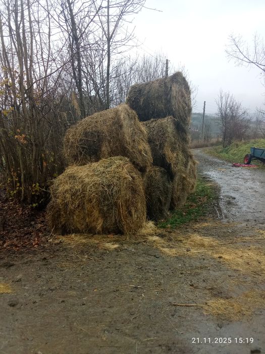 De vânzare baloți de lucernă coasa 2   300 și  coasa a3 3500  3500și f