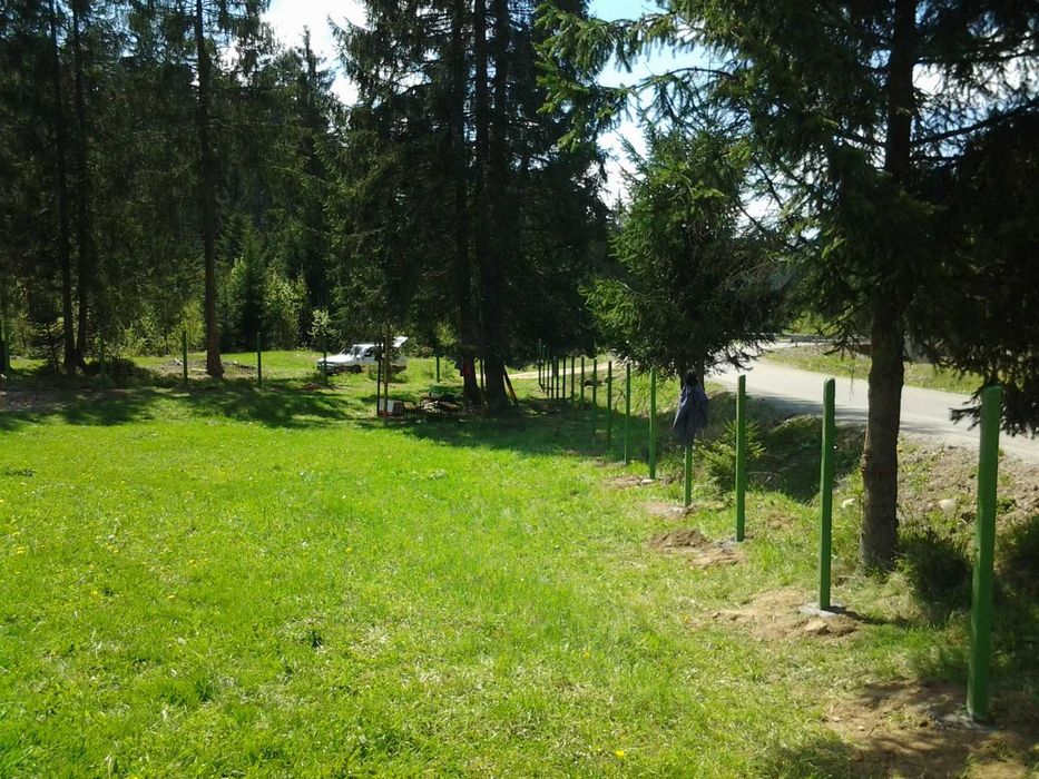 Vând  12.500 mp teren extravilan Lunca Ilvei Bistrita Nasaud