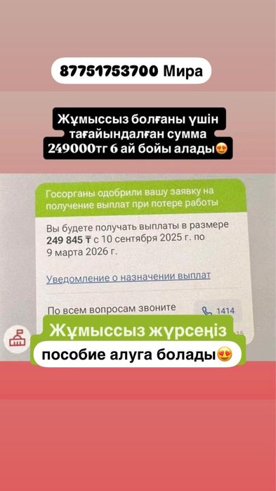 Арест шешу/График кою. Рейтинг. Пособие