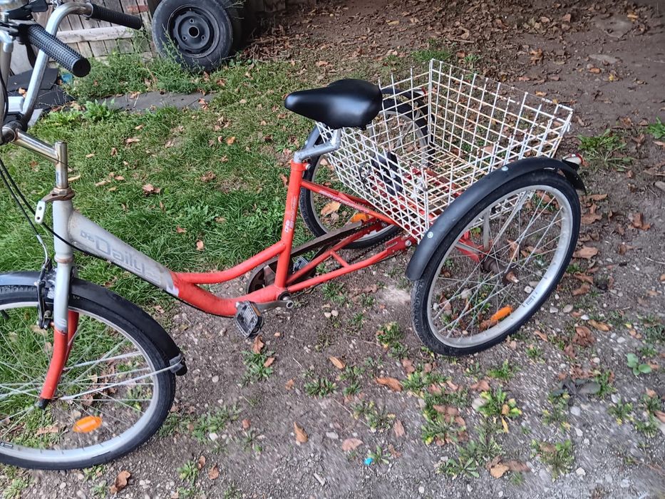 Tricicletă adulți