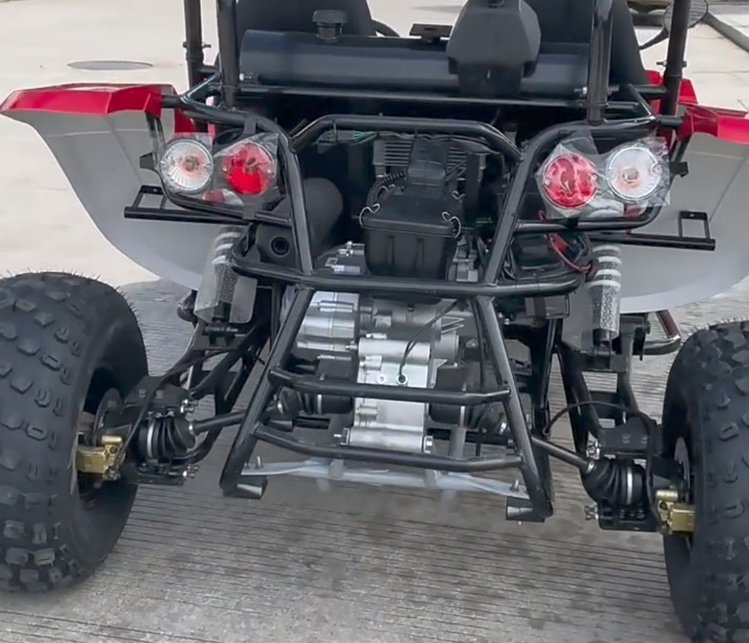 Бъги 300cc модел 2025 г.