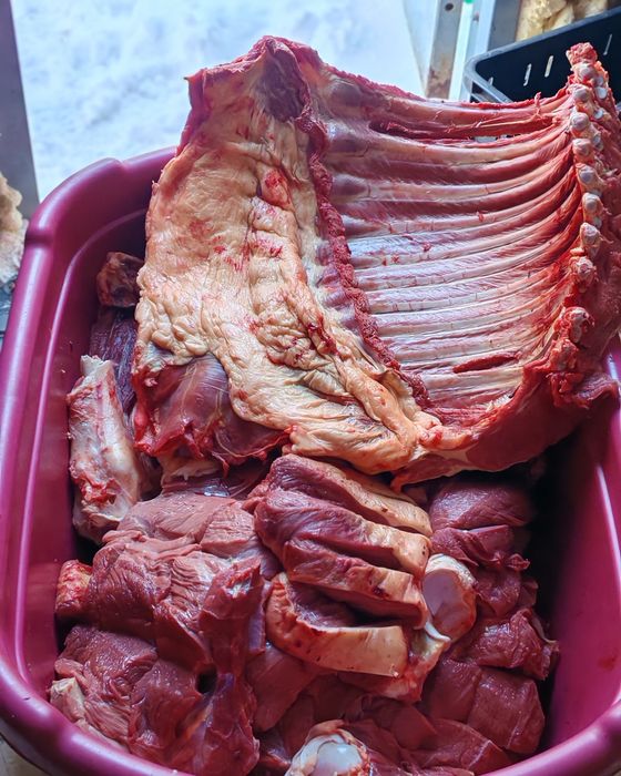 Семіз жабағы еті