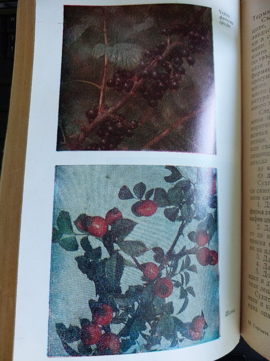 Книга "Горските плодове- храна и лечебно средство"
