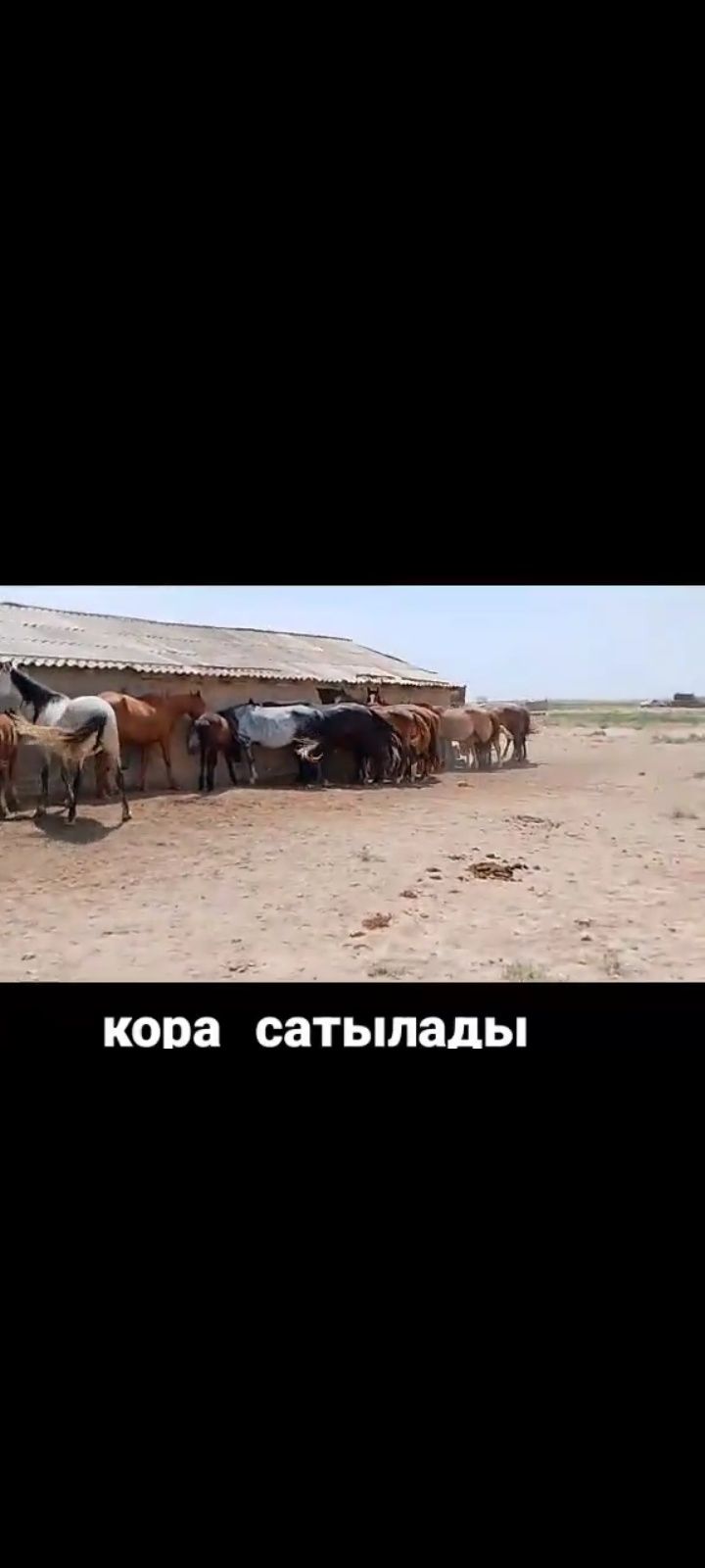 қора сатылады 200млн