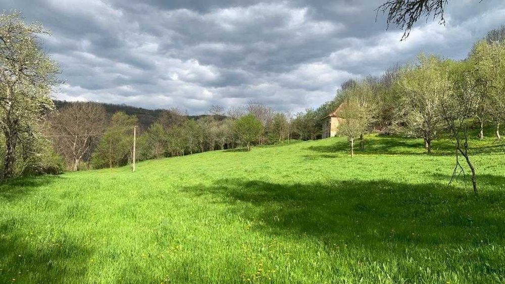 Oportunitate!Mada:casa teren intravilan,10.000mp toate actele i regula