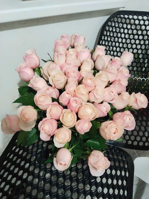 Розы 51 шт размер метровый