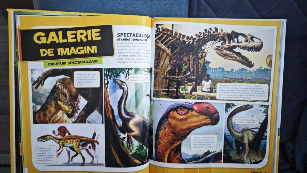 Carte Totul despre dinozauri