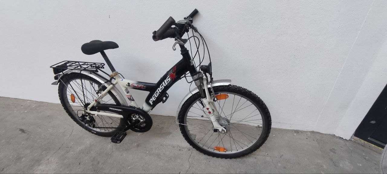 Vand bicicleta Pegasus 24”