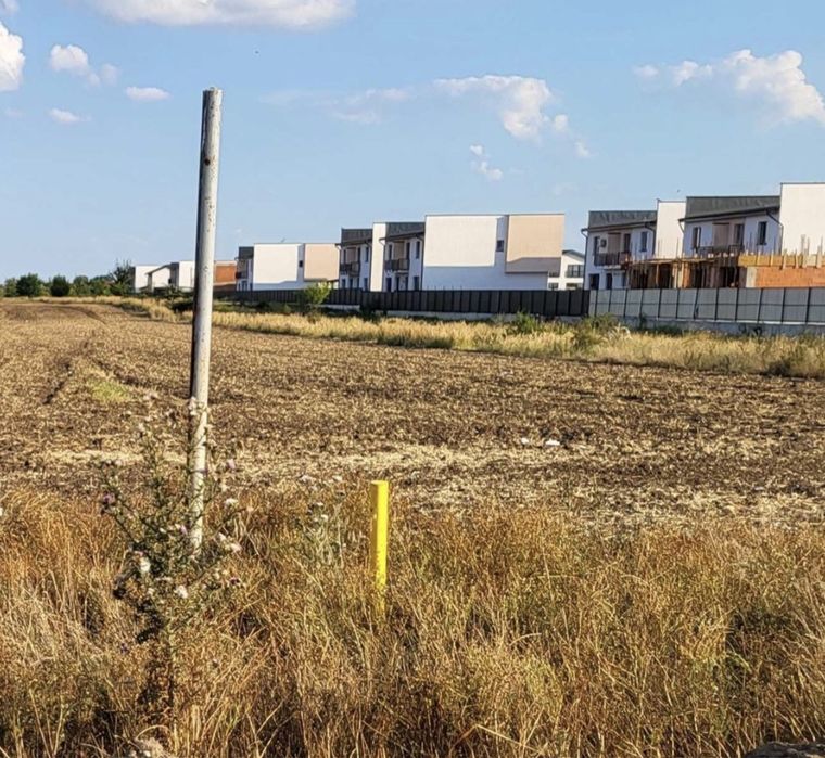 Teren Domnesti Ciutaci