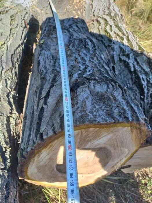 Орех трупи дървен материал