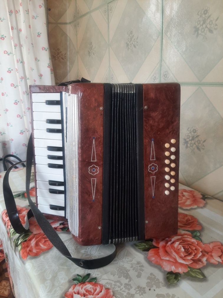 Музыкальный инструмент гармонь