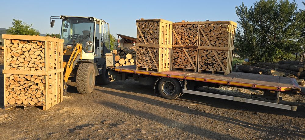 Lemn foc Fag paletizat 800 lei paletu