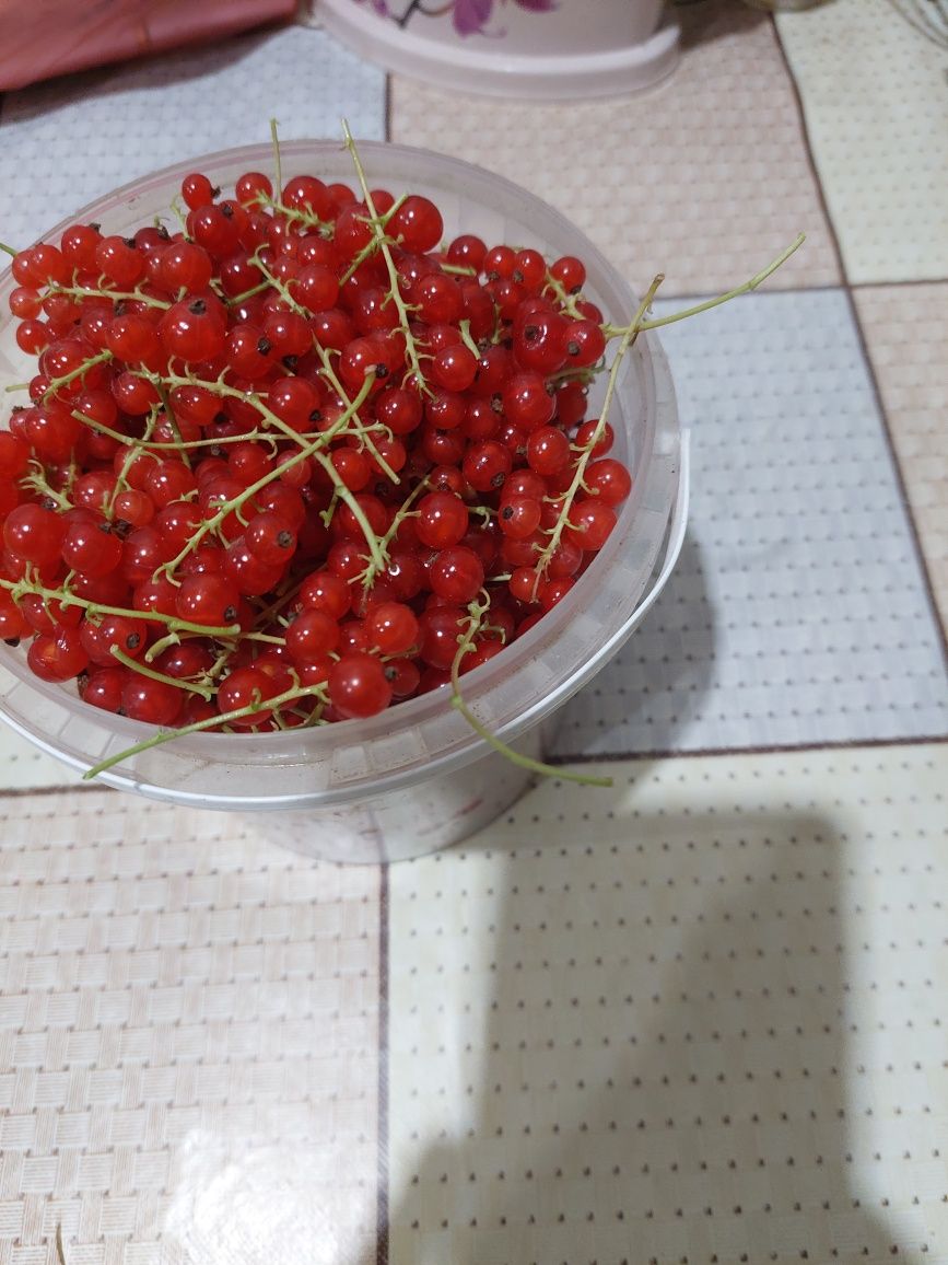 Продаётся дача .срочно.торг